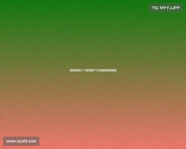 破局与新势能:S14收视峰值近700万,女子赛事成崛起力量