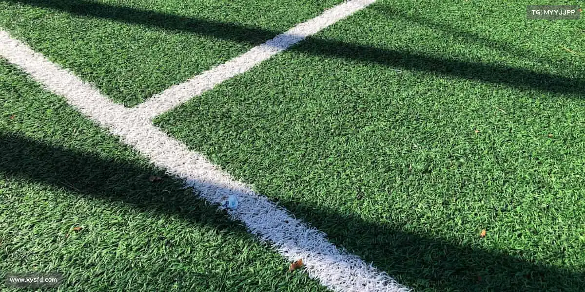 九游会老哥——🧗向上攀登，每一步都可靠！